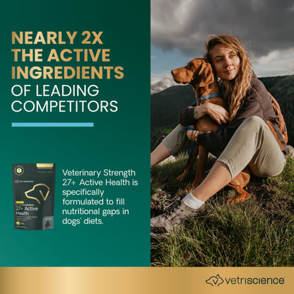 Veterinary Strength 27+ Active Health for Dogs Chews