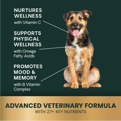 Veterinary Strength 27+ Active Health for Dogs Chews